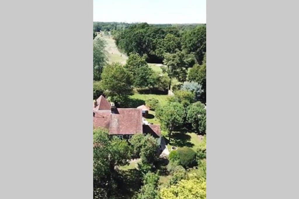 Rose Cottage Rowland's Castle المظهر الخارجي الصورة